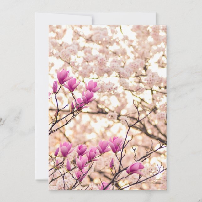 Blooming Pink Purple Magnolias Spring Flower Card (Front)
