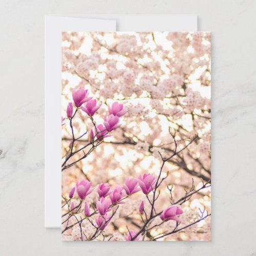 Blooming Pink Purple Magnolias Spring Flower Card