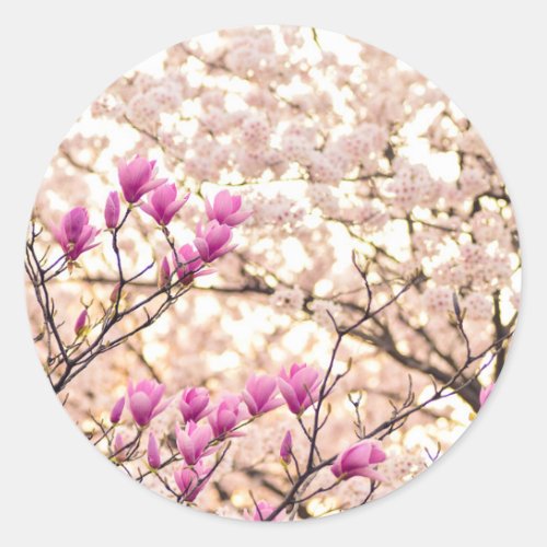 Blooming Pink Purple Magnolias Spring Flower Classic Round Sticker