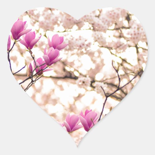Blooming Pink Purple Magnolias Spring Flower Heart Sticker