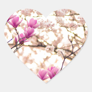 Blooming Pink Purple Magnolias Spring Flower Heart Sticker