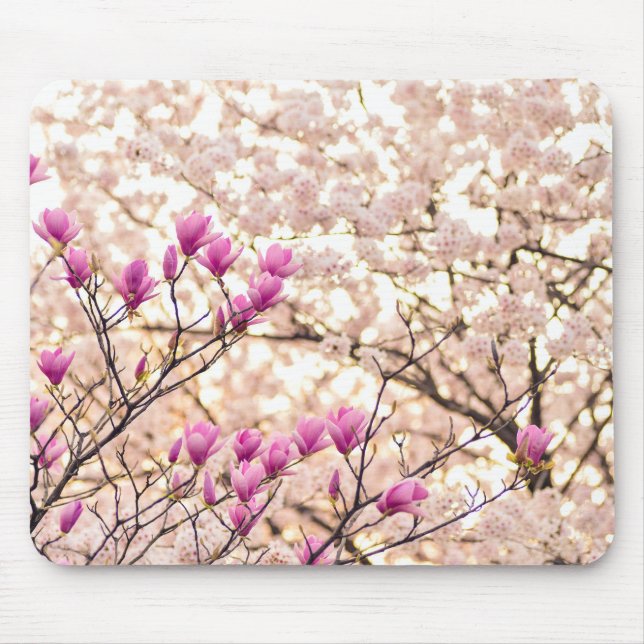 Blooming Pink Purple Magnolias Spring Flower Mouse Pad (Front)