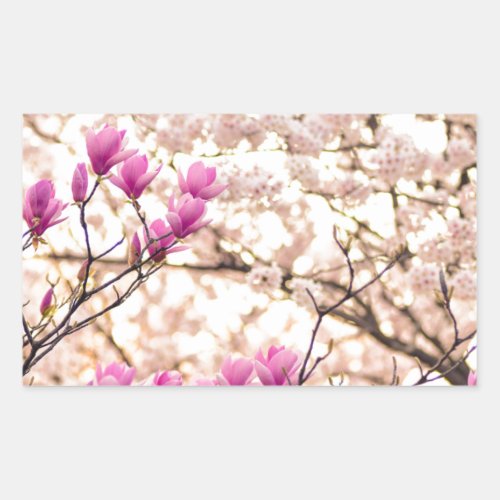 Blooming Pink Purple Magnolias Spring Flower Rectangular Sticker