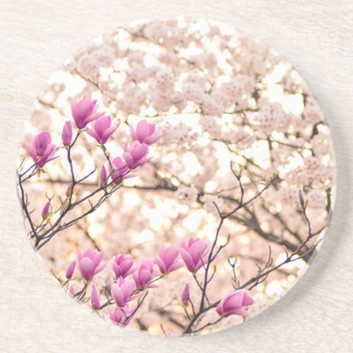 Blooming Pink Purple Magnolias Spring Flower Sandstone Coaster