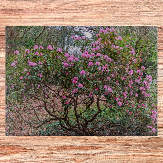Blooming Pink Rhododendron Shrub Floral Cutting Board (In Situ)