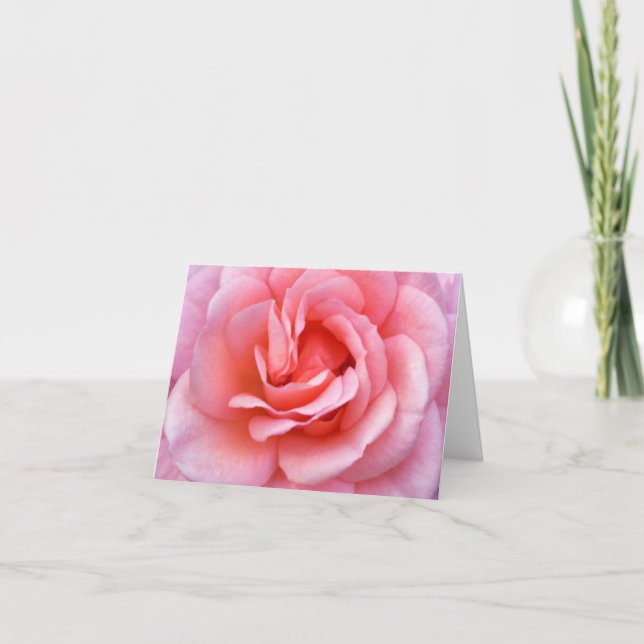 Blooming Pink Rose Notecard (Front)