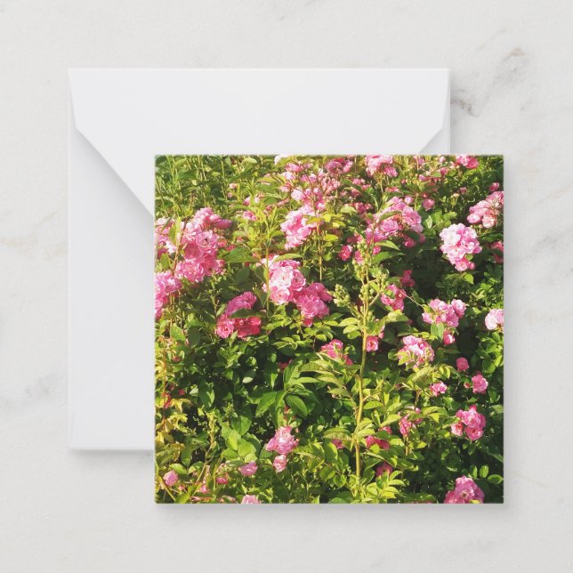 Blooming Pink Roses  Note Card (Front)