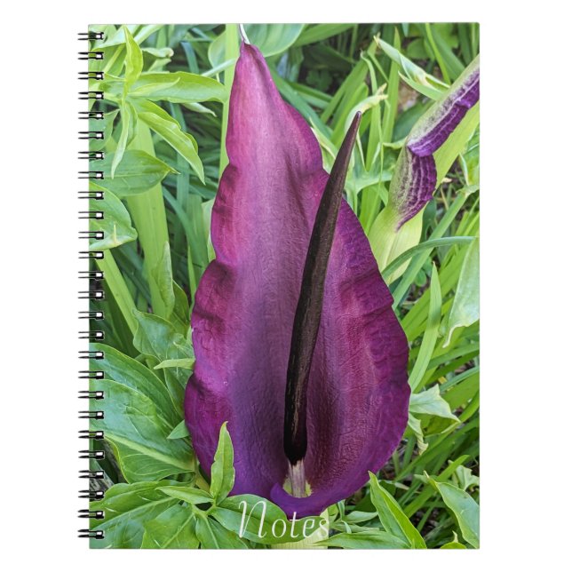 Blooming Purple Dragon Lily Floral Notebook (Front)