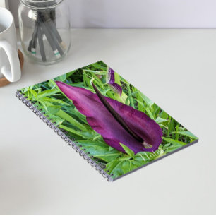 Blooming Purple Dragon Lily Floral Notebook
