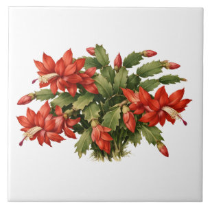 Blooming Red Christmas Cactus Plant  Ceramic Tile