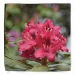 Blooming Red Rhododendron Blossoms Flowering Bandana