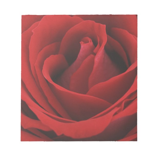 Blooming Red Rose Notepad (Front)