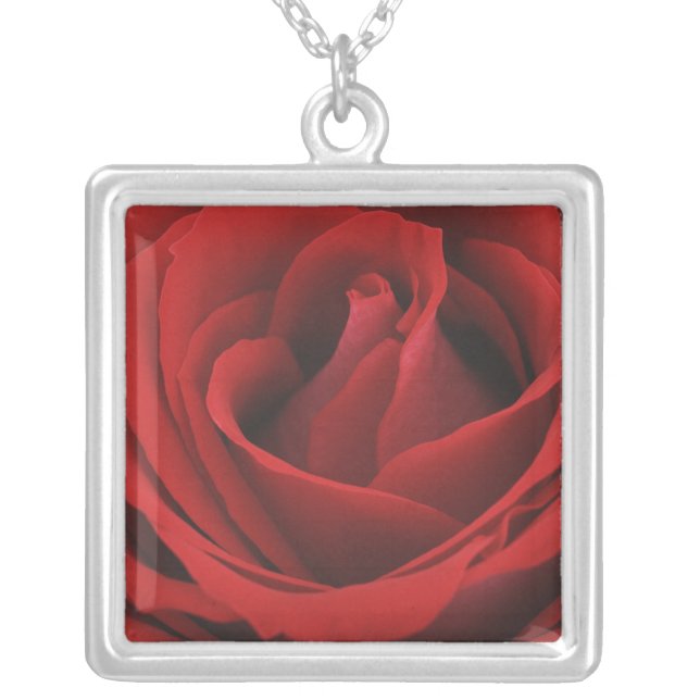 Blooming Red Rose Silver Plated Necklace (Front)