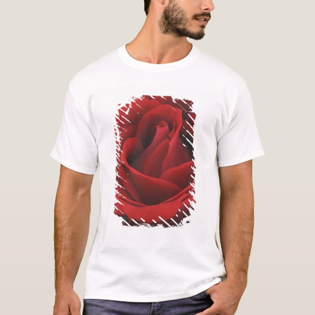 Blooming Red Rose T-Shirt (Front)