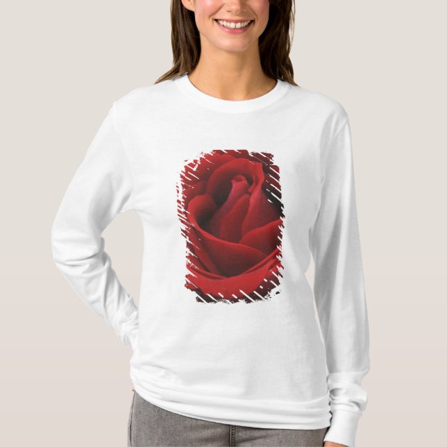 Blooming Red Rose T-Shirt (Front)
