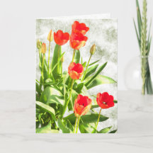 Blooming Red Tulips Note Card