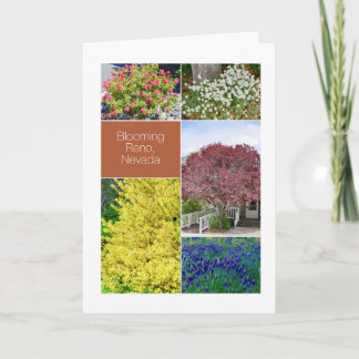 Blooming Reno, Nevada, flowers photographs Card