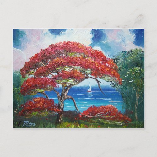 Blooming Royal Poinciana Tree and Sailboat Postcard