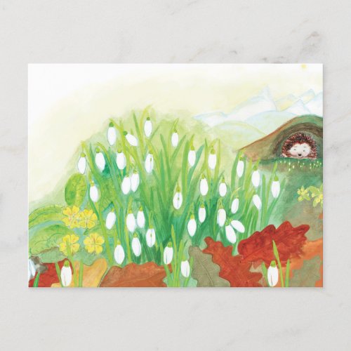 Blooming Snowdrops and a Hedgehog  Postcard