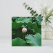 Blooming Soon (Standing Front)