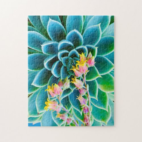 Blooming Succulent Jigsaw Puzzle