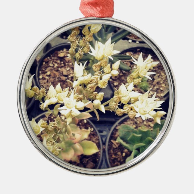 Blooming Succulents Metal Ornament (Front)