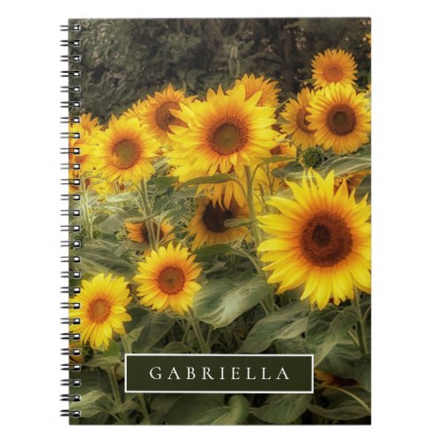 Blooming Sunflowers Garden Photo  Notebook