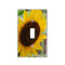 Blooming Sunflowers