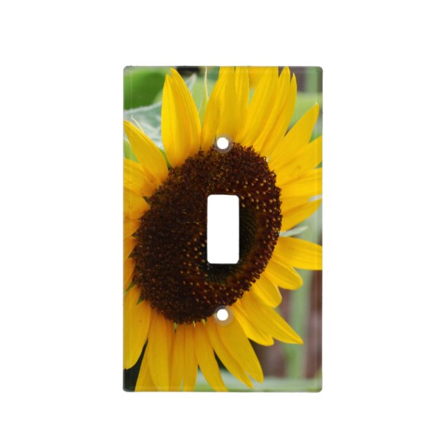 Blooming Sunflowers Light Switch Cover (Front)