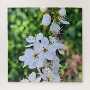 Blooming Tree in Spring Romania – Blossom Photogra Jigsaw Puzzle