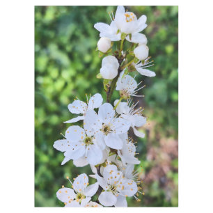 Blooming Tree in Spring Romania – Blossom Photogra Tablecloth
