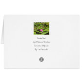 Blooming Water Lillies Cards (Back Horizontal)