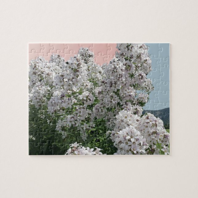 Blooming White Flowers Jigsaw Puzzle (Horizontal)
