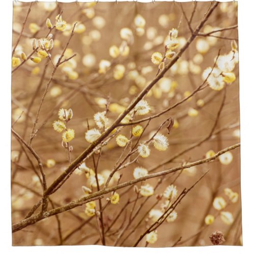 Blooming willow branches in springtime seasonal v shower curtain