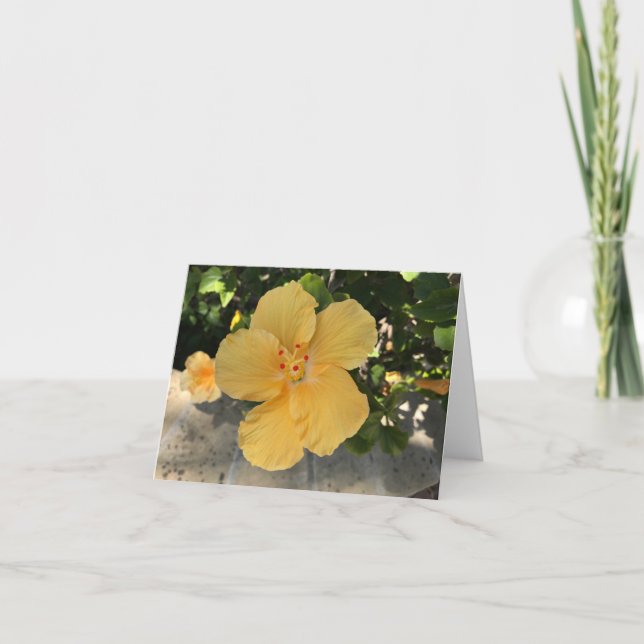 Blooming yellow flower card (Front)