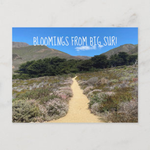 Bloomings from Big Sur! Postcard