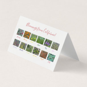 Bloomings from California!