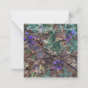 Bloomings from California: Purple Sage Note Card