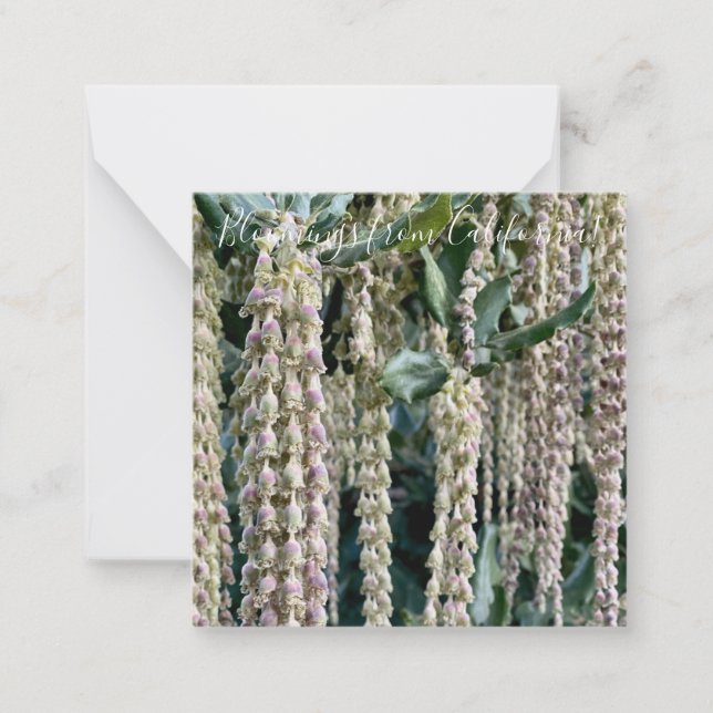Bloomings from California: Silk Tassel Note Card (Front)