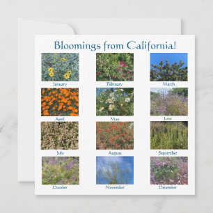 Bloomings from California: Sunnyvale 2022 Note Card