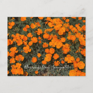 Bloomings from Sunnyvale: California Poppy Day Postcard