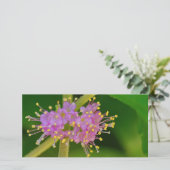 Blooms (Standing Front)