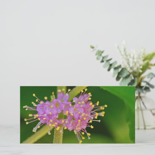 Blooms (Standing Front)