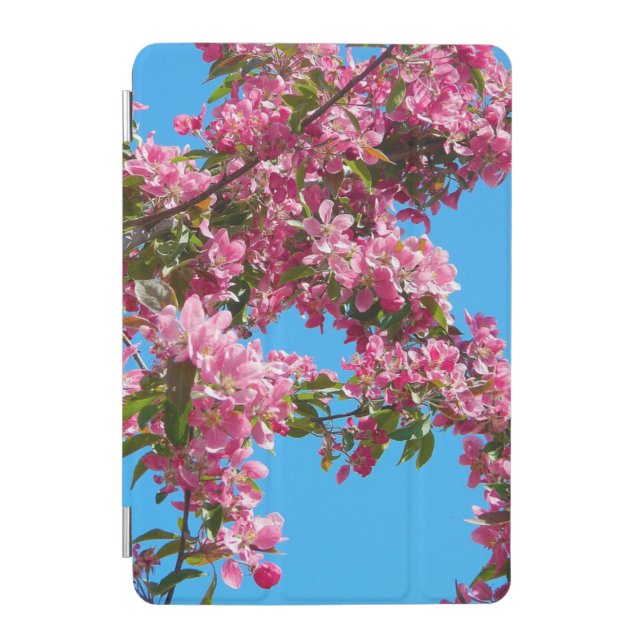 Blossom and Blue Sky Photo iPad Mini Cover (Front)