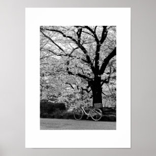 Blossom & Bicycle: Japan Poster