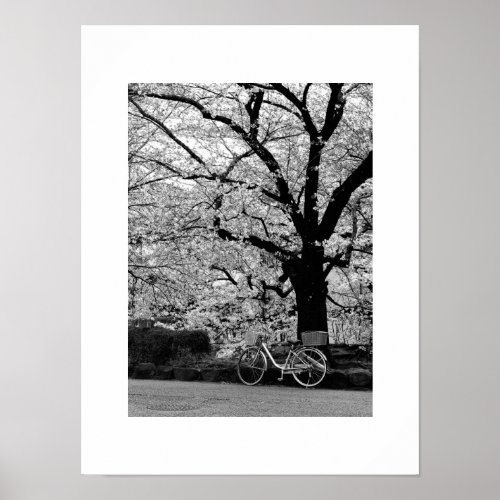 Blossom  Bicycle Japan Poster
