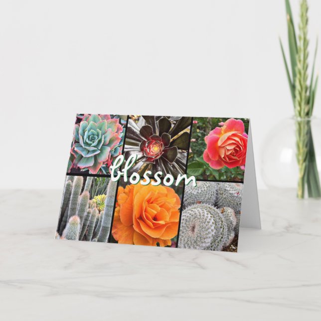 Blossom cacti roses photo collage blank inside card (Front)