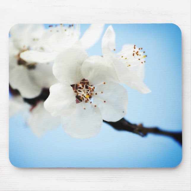 Blossom Clouds Mousepad (Front)