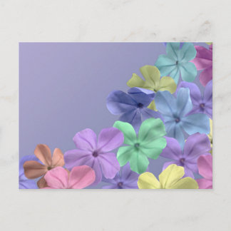 Blossom Field Postcard
