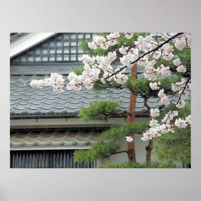 Blossom in the Rain Poster (Front)